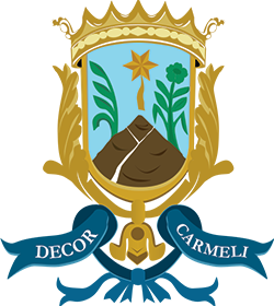 Lo stemma della Confraternita del Carmine di Taranto, forse quello di Rignano Garganico era simile.