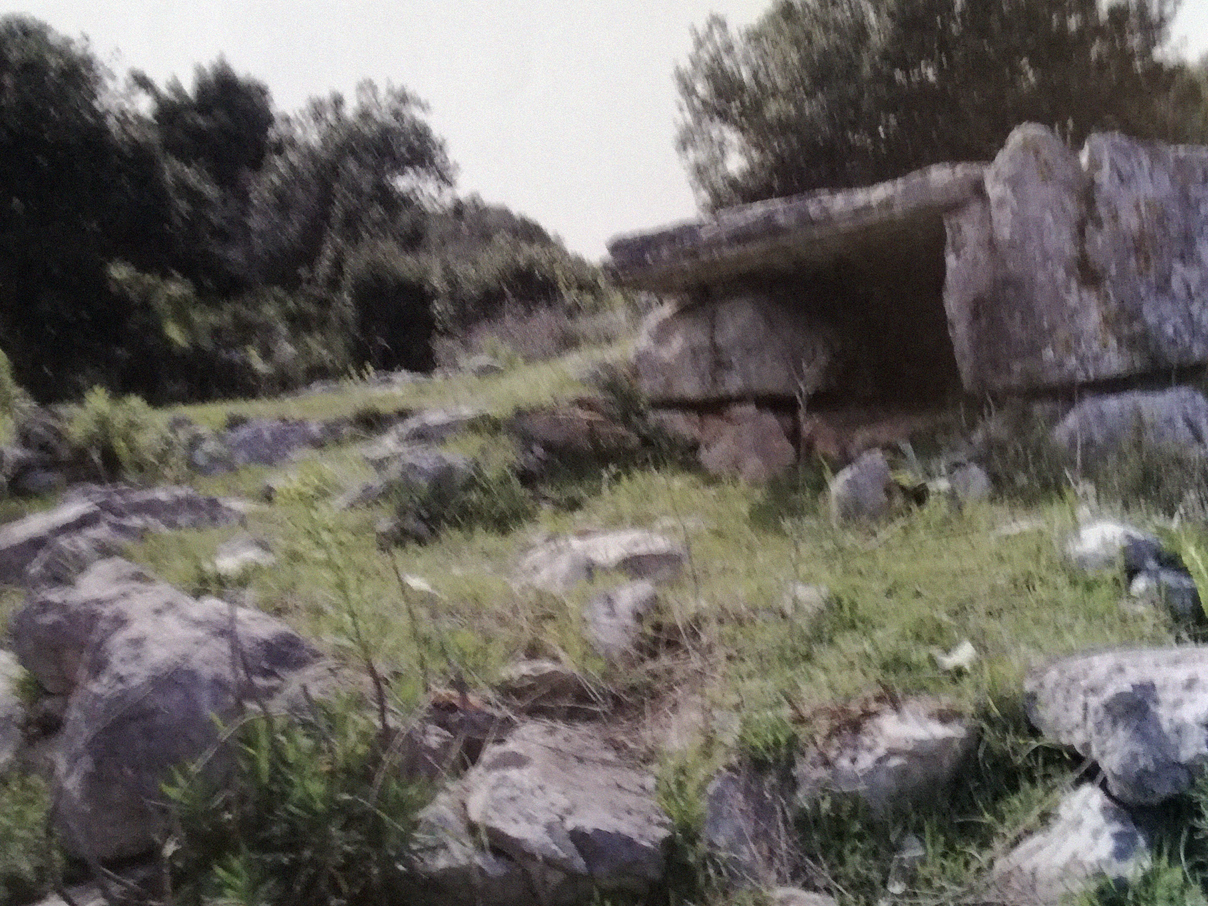 Dolmen di Lamasecca.