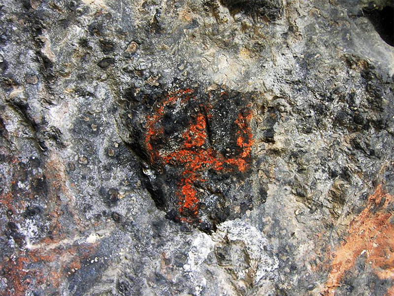 Pitture rupestri scoperte lungo le pareti di uno degli antri preistorici e protostorici della Valle di Ividoro a Rignano Garganico (foto di Enzo Pazienza).
